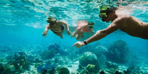 7-Night Western Caribbean Cruise, Ft. Lauderdale Departure