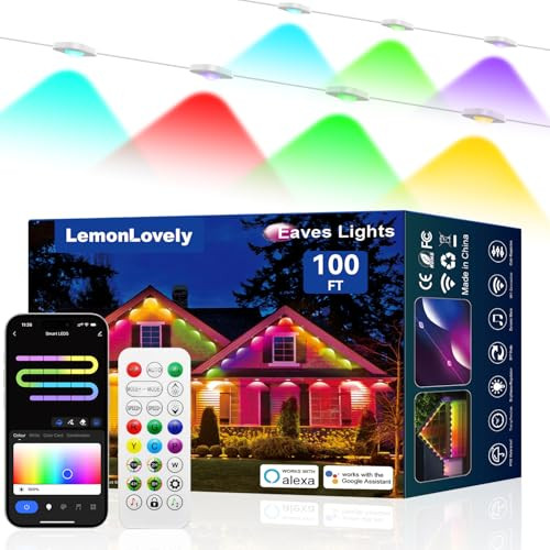 100ft Permanent Outdoor Lights