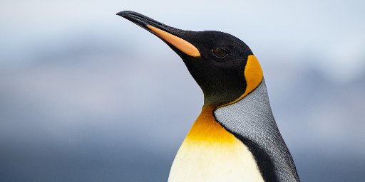 5-Star South America Vacation Package: 13-Nights with Airfare & Guide