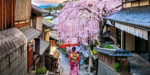 11-Night Guided Tour of Japan Deal