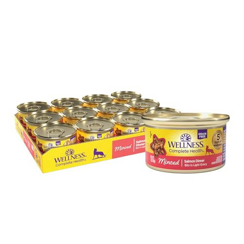 24-Pack 3-Oz Wellness Complete Health Minced Adult Wet Cat Food (Salmon Entrée)