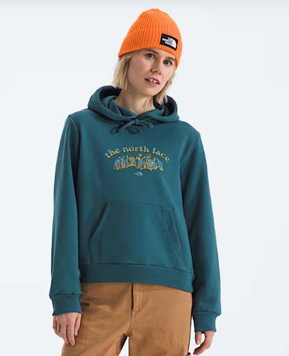 The North Face Women's Evolution Retro-Growth Hoodie Deal