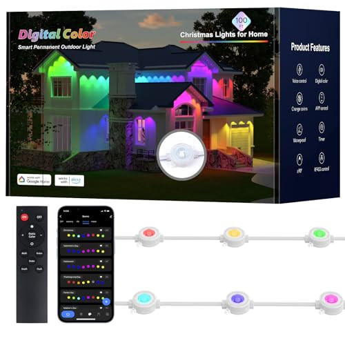 Permanent Outdoor Lights