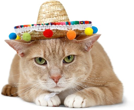 Vibrant Life Sombrero Hat XS-S Costume for Dogs & Cats