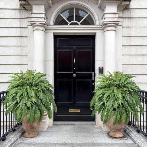Large Artificial Ferns 2-Pack Deal