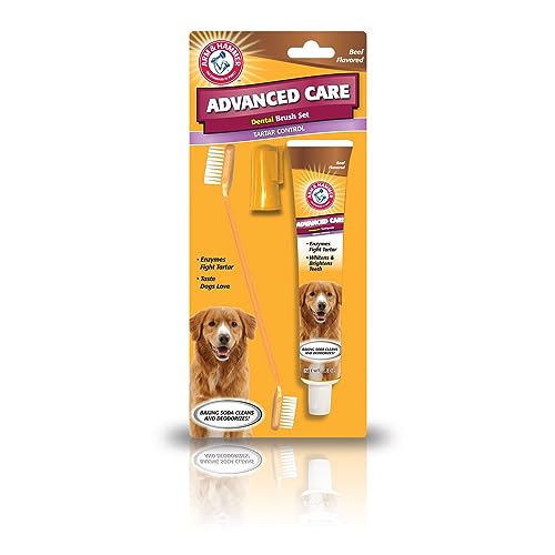 Arm & Hammer Tartar Control Dog Dental Kit, Beef Flavor, 3-Piece