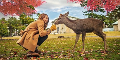 Japan: 5-Night Vacation Package w/ International Flights