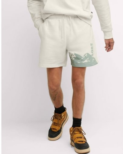 Hanes Men's Explorer French Terry 6" Shorts