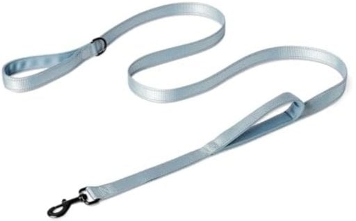 Amazon Basics Reflective Dog Leash 4ft