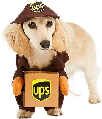 UPS Delivery Driver Dog & Cat Costume Deal