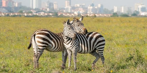 Egypt & Kenya 13-Night Guided Tour