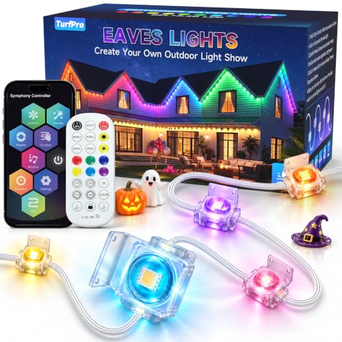 Permanent Outdoor Lights