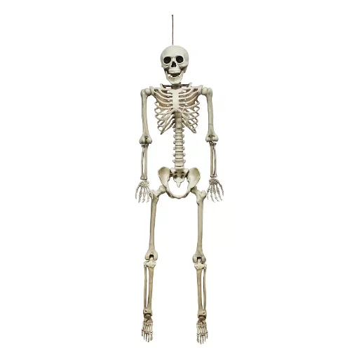 Celebrate Together Halloween 60-Inch Skeleton Decor