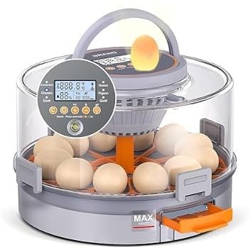 Automatic Egg Turning & Humidity Control Incubator for 12 Eggs