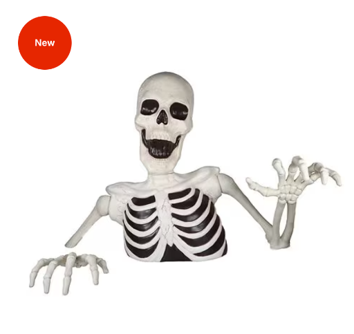 Walgreens Groundbreaker Skeleton 35-inch