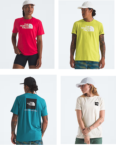 The North Face Evolution Half Dome Short-Sleeve Tee