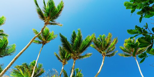 7-Night Caribbean Cruise on a Luxe Yacht