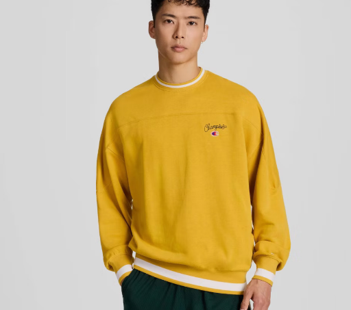 Champion Men's University Small Script Sweatshirt Deal