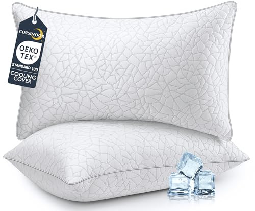 Queen Size Pillows 2-Pack
