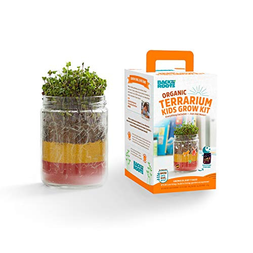 Back to the Roots Terrarium Grow Kit Small