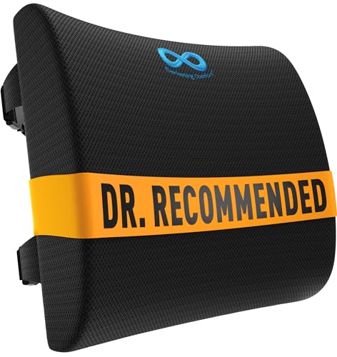 Everlasting Comfort The Original Lumbar Support Pillow for Office Chair Deal