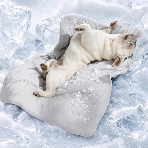 LE SURE ApexCloud Premium Dog Cooling Blanket Deal
