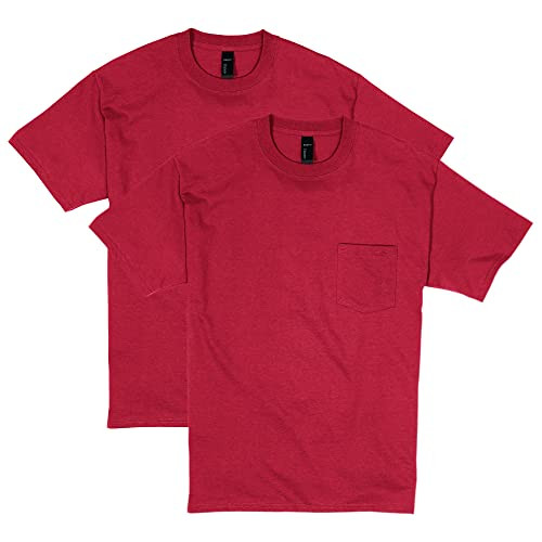 Hanes Men's 100% Cotton Heavyweight Pocket T-Shirt 2-Pack