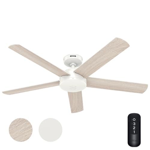 Hunter 52" Indoor/Outdoor Ceiling Fan w/ Remote Deal