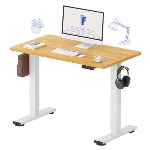 Flexispot Electric Standing Desk