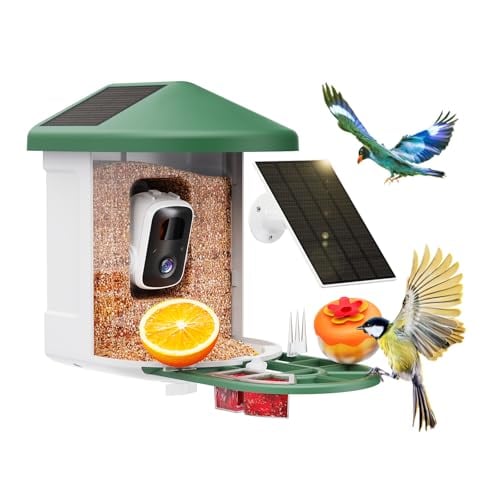 Smart Bird Feeder with Camera - AI Identify Birds Species Deal