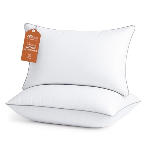 Sasttie 2-Pack Standard Pillows Deal
