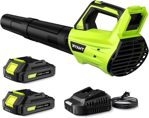 Leaf Blower with 2 Batteries and Charger