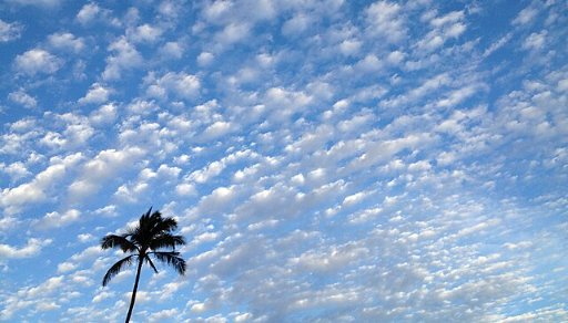 Roundtrip Seattle to Kahului-Maui Hawaii Nonstop Airfares on Alaska or Delta
