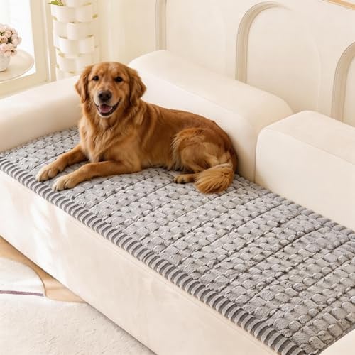 Eco-Ancheng Washable Pet Couch Cover Deal