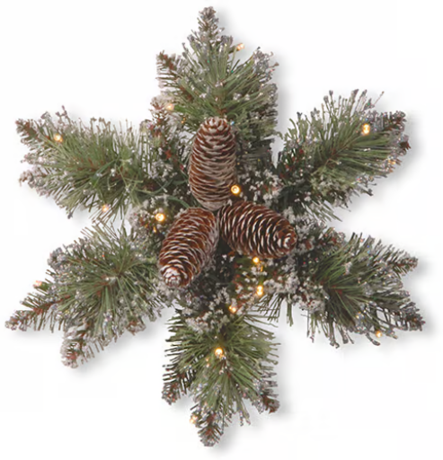 National Tree 14in Glittery Bristle Pine LED Snowflake Deal