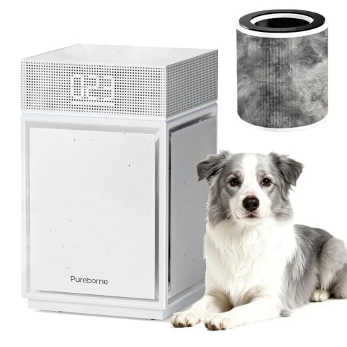 Pureborne HEPA Air Purifier for Home Large Room 1-Pack Deal