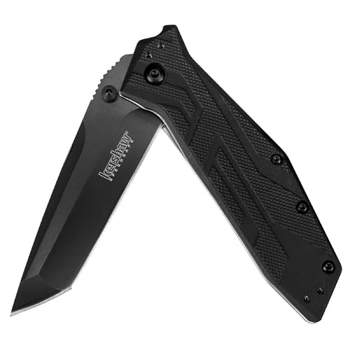 Kershaw Brawler Folding Pocket Knife w/ 3" Blade