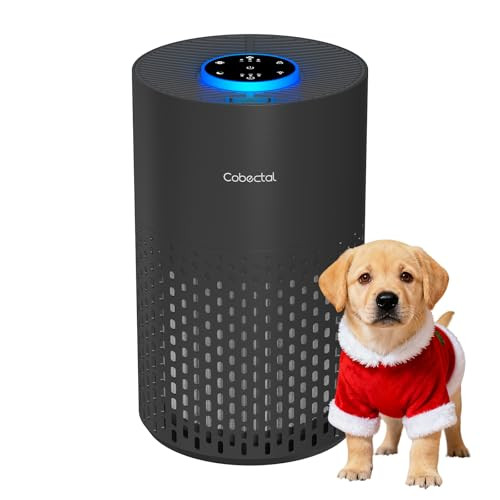 Cobectal H14 True HEPA Filter 3-in-1 Portable Air Purifier w/ Aroma Function and Sleep Mode (Black)