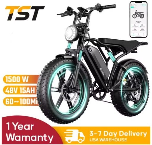Alafate TST R002 1500W Electric Bike 20 in x 4 in Fat Tire