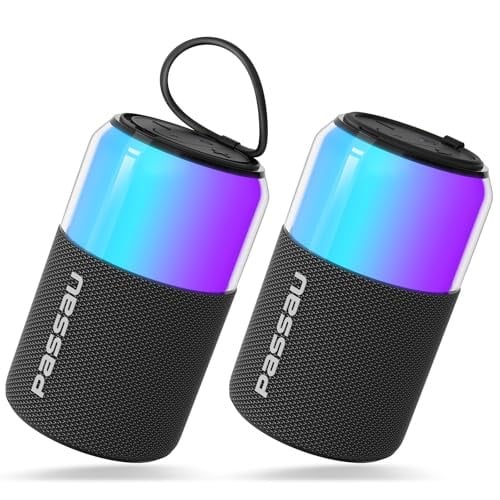 Passau Portable Speakers with Lights 15W RMS 30W Max BT 5.4 2-Pack Deal