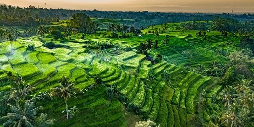 2 Weeks in Bali & Thailand including Phuket & Flights Deal