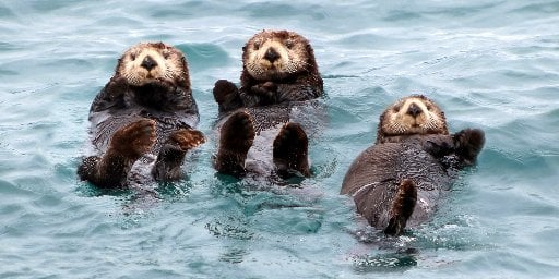 Roundtrip Vancouver: Weeklong Alaska Cruise Package