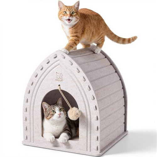 Apasiri Insulated Scratch Resistant Cat House Indoor Unheated