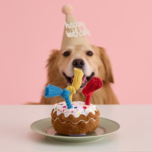 LE SURE Birthday Cake Squeaky Plush Dog Toy w/ Tug Rope Candles Deal