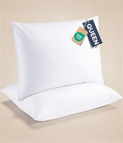 CGK Linens Ultra Thin Flat Pillows 2-Pack (Queen, White)