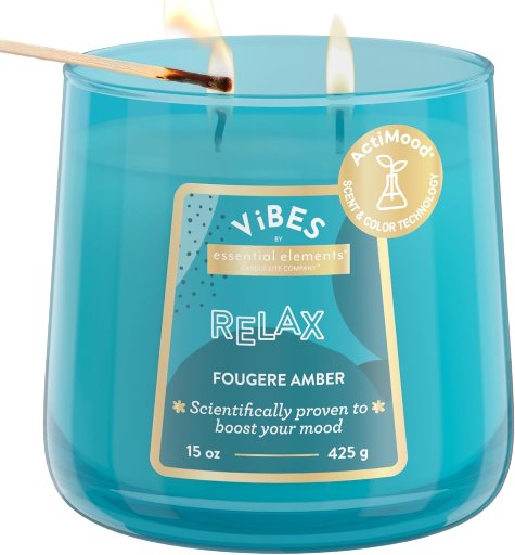 Essential Elements 2-Wick Candle-Lite Vibes Mood-Enhancing Scented Candle (Fougere Amber) 15-Oz