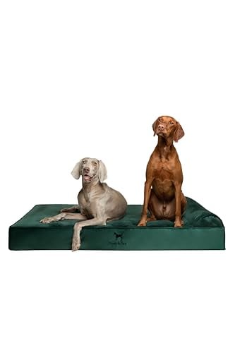NOAH & PAW 55"x45" XXL Orthopedic Dog Bed w/ Cooling Gel Memory Foam Deal