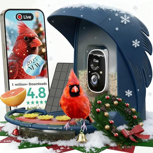 Smart Bird Feeder with 2K HD Camera