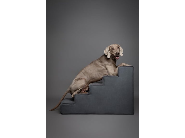 Noah & Paw Vegan Leather Pet 5 Stairs for Dogs & Cats Deal