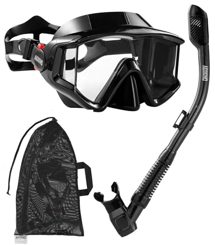 Aegend Anti-Fog Snorkeling Mask & Dry Snorkel Set Deal